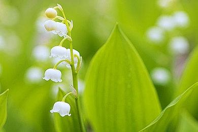 《天使之恋 Online》全新改版《砂城秘谭》 一起来解开古老石板之谜！